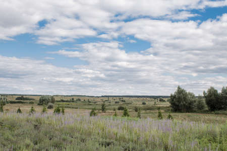 a beautiful field with trees and clouds in italy