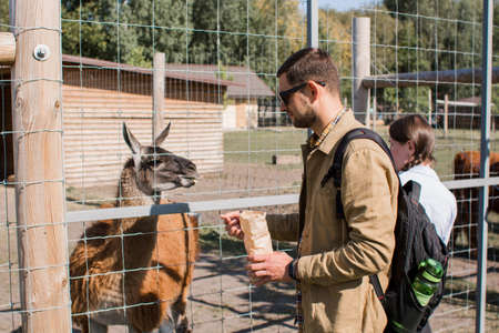 man feeding a llama at the zoo