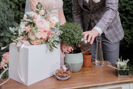 the groom and the bride plant a tree at ceremony