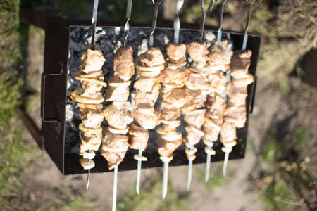 meat kebabs are fried on grill in nature