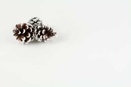 Christmas tree toys pine cones on white backgroundの写真素材