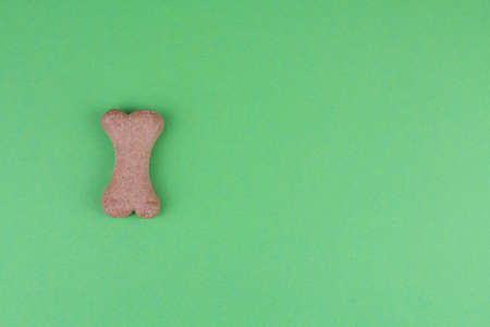 a dog food bones on green background patternの写真素材