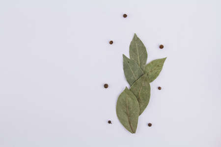a bay leaf with sweet peas on a white backgroundの写真素材