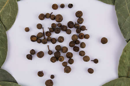 a bay leaf with sweet peas on a white backgroundの写真素材