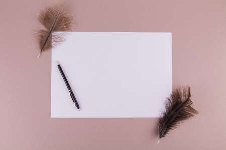 a white sheet of a4 paper with pen and feathers on backgroundの写真素材