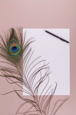 a white sheet of a4 paper with pen and feathers on background