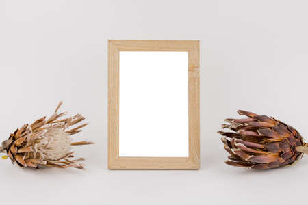 a photo frame on white background with branches of red and yellow leavesの写真素材