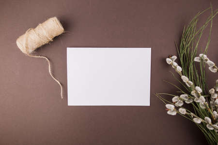 a seals plant branches on a white background with white paper