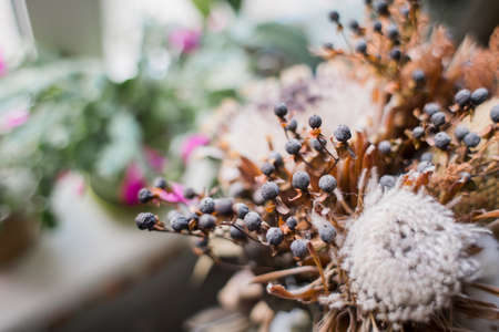 a beautiful dried flowers on the kitchen tableの写真素材