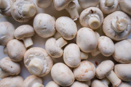 lot of champignon mushrooms on the tableの写真素材