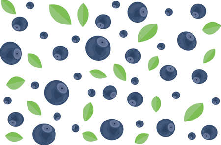 blueberries with leaves on a white background illustrationのイラスト素材