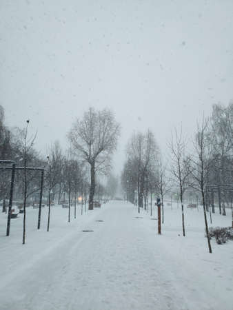 a street in the snow in winter snowfall during the dayの写真素材