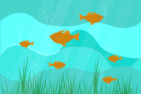 goldfish underwater and starfish with algae in sea oceanのイラスト素材
