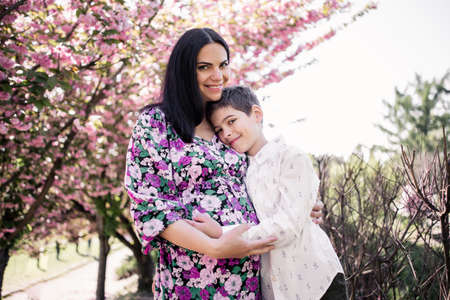 pregnant woman with eldest son in sakura flowers in springの写真素材