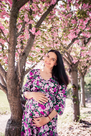 a pregnant girl in a dress near the sakura in the gardenの写真素材