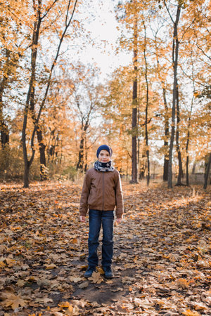a boy in a jacket in autumn in orange leaves in the parkの写真素材