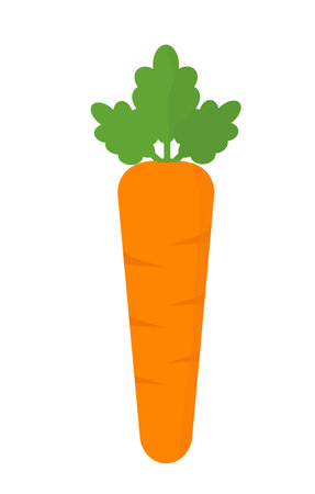 yellow ripe fresh carrot on white background vector illustrationのイラスト素材