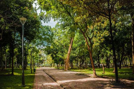 your creation is truly beautiful,with thousand of shady trees stretching along the road making me want to stay longer in your houseの写真素材