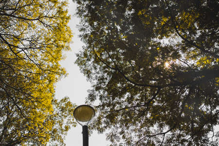 autumn in Jakarta in the middle of last year showed a different view