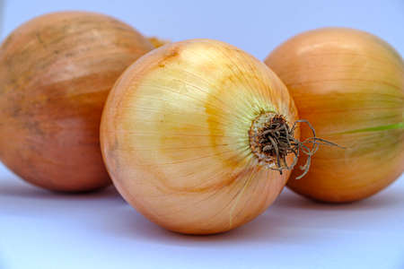 some onions on a plain backgroundの写真素材