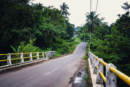 The bridge connects two villages which are separated by a river below. the atmosphere is quite fresh because on the right and left side of the road there are trees growing luxurianの写真素材