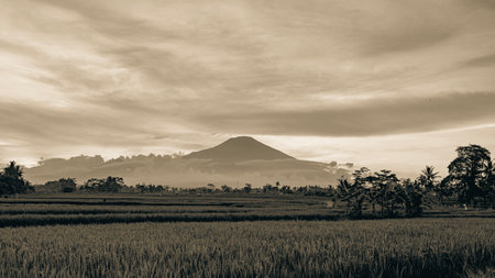 portrait of ciremai mountain scenery and surrounded by thin clouds