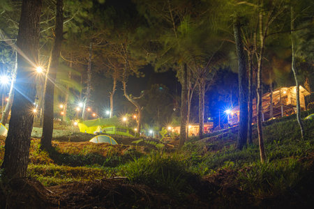 campground portrait at nightの写真素材