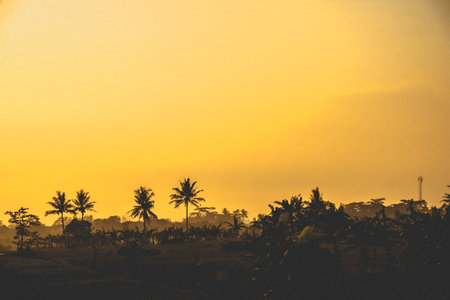 a portrait of a village that is still beautiful in the morning