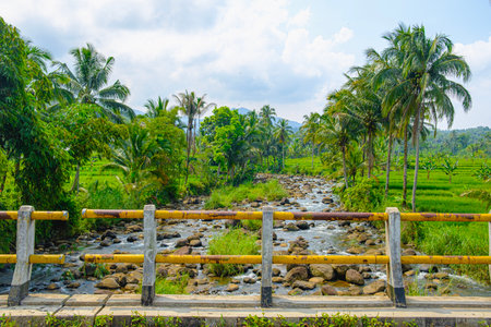 shallow river water with medium-sized rocks in the morning