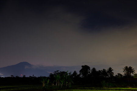 Night view of rice field and mountain in Bali, Indonesia.の写真素材