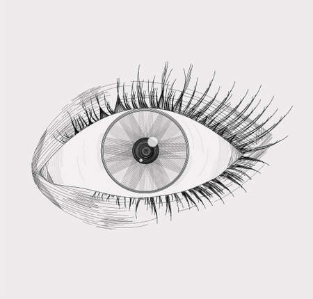 Vector illustration of a realistic left eye, with lashes, made and shaded based on lines, isolated on a light gray backgroundのイラスト素材