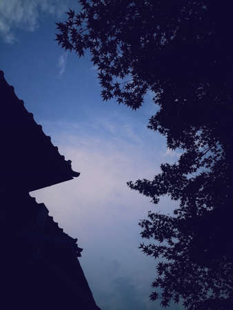 The dying sky of Japanの写真素材