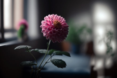 Beautiful cute flowerの素材