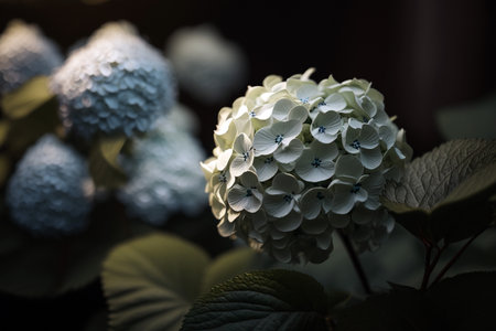 Beautiful cute flowerの素材