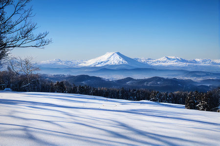 snow covered trees in winterの素材
