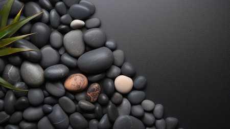 Black pebbles on the beach with copy spaceの素材