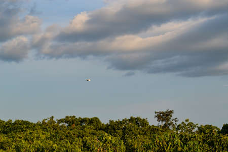 Landscape view of natural scenery in countrysideの写真素材