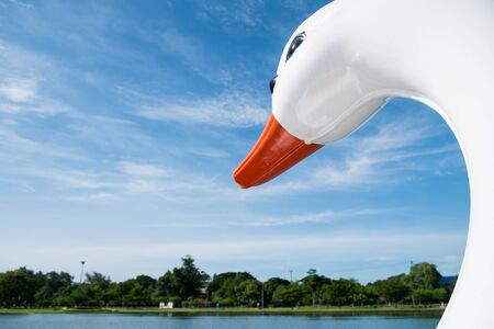 Head of white swan boat sailing in the lakeの写真素材