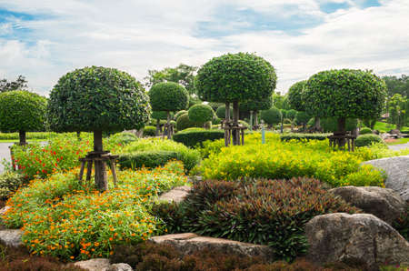 Garden in Suan Luang Rama 9 public park, Thailand