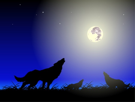 Vector wolfs and moonのイラスト素材