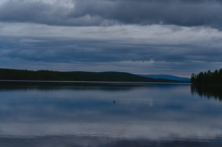 Blue hour serenity on a calm lake with lone duck at dusk, silhouette of the forest and mountains in the background with cloudscape in evening twilightの写真素材