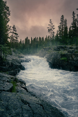 Twilight Rapids in Nordic Nature Forest, Sweden. Dusk descends on tumultuous rapids cutting through a foggy woodlands in Dalarna, Sweden.の写真素材
