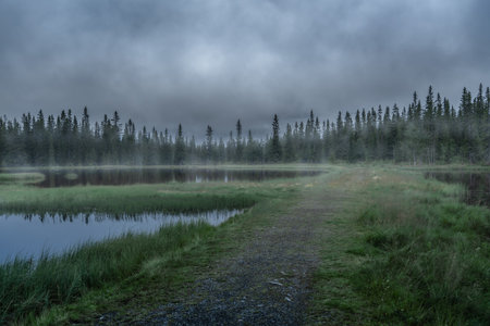 Misty Morning by the Serene Pond in SjusjÃ¸en, Norway - A Tranquil Forest Awakening. Early morning...