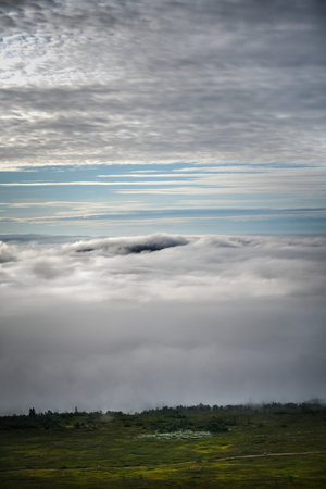 A low layer of clouds covers a forest valley with a mountain ridge just peeking out of the clouds,...
