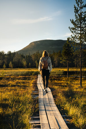Rear view of a female hiker walking alone on a wooden path through Nordic nature, with the StÃ¤djan mountain backdrop in the natural light of the golden hour in the serene landscapeの写真素材
