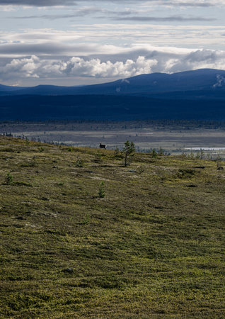 A lone Reindeer stands on a grassy plain surrounded by vast landscape of mountains and valleys under a cloudy sky during daytime in Idre Dalarna Swedenの写真素材