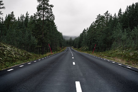 A foggy wet road winds through a dense forest in Dalarna, Sweden. Red snow pole markers line the roadside, indicating the edge in this serene Nordic landscapeの写真素材
