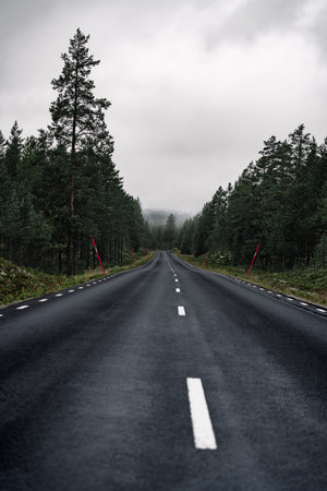A foggy wet road winds through a dense forest in Dalarna, Sweden. Red snow pole markers line the roadside, indicating the edge in this serene Nordic landscapeの写真素材