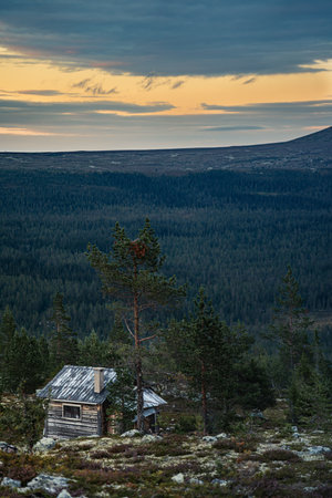 An abandoned log cabin hidden behind boulders and a pine tree as dusk casts orange and blue hues over the dense boreal forest below in Idre Dalarna Swedenの写真素材