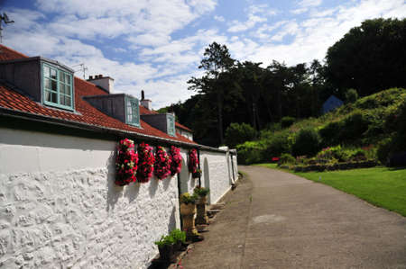 Caldey Islandの写真素材